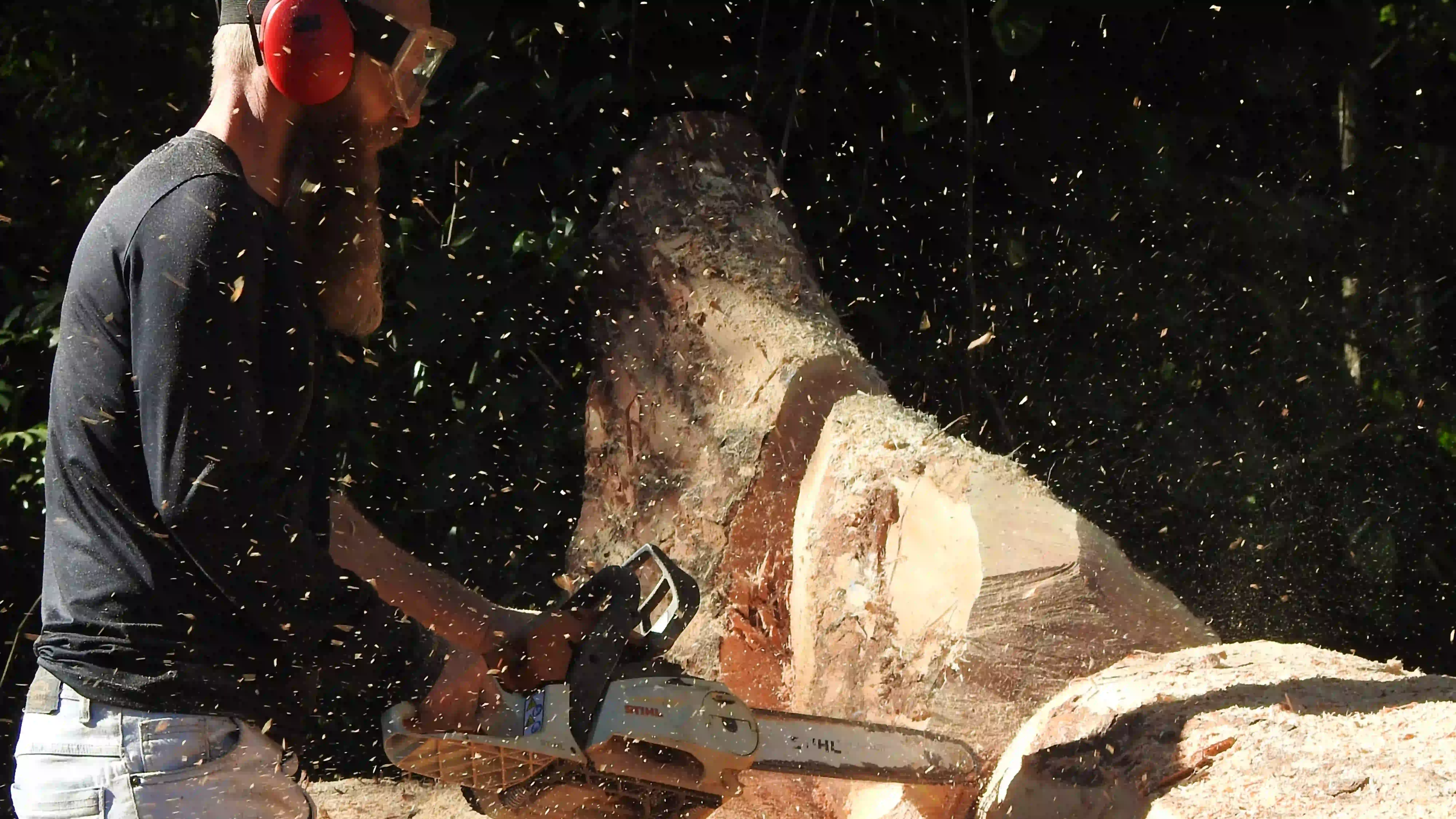 Obra Ñandé Arte