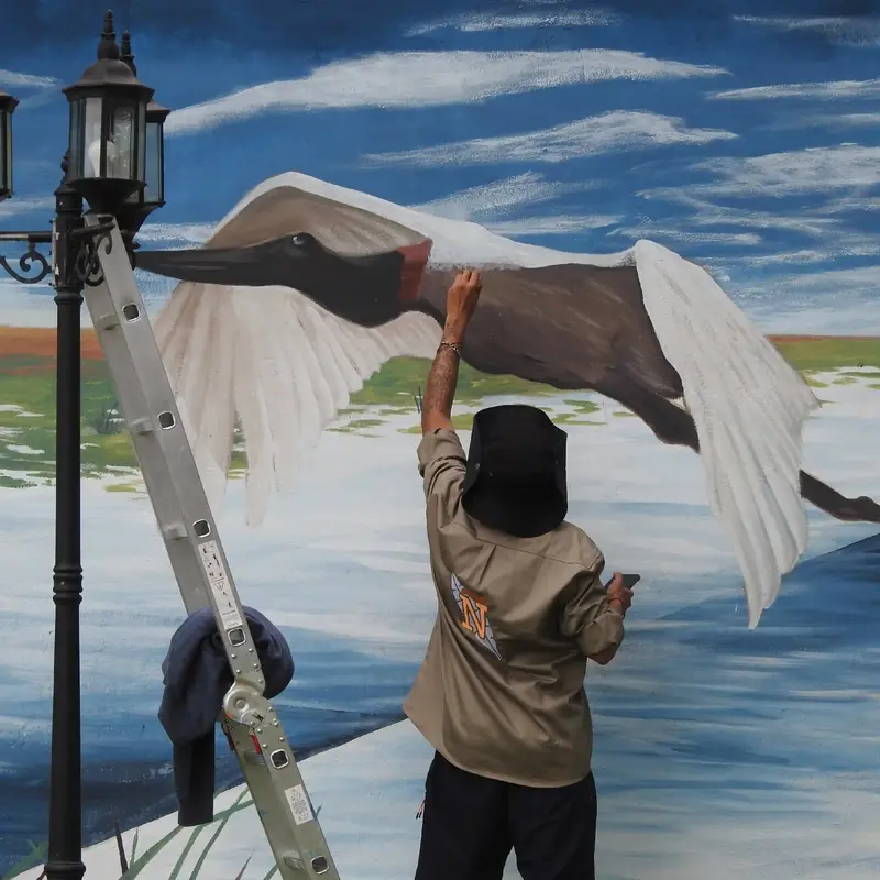 Obra Ñande Arte